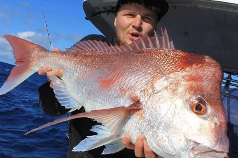 Sea Angling in Brisbane