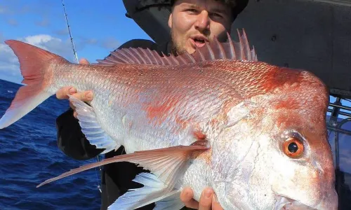 Sea Angling in Brisbane