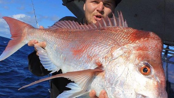 Sea-fishing in Brisbane