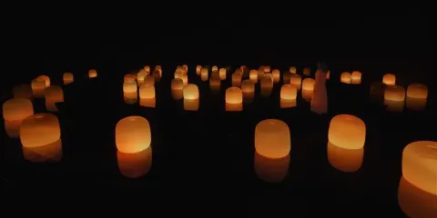 teamLab現像阿布達比