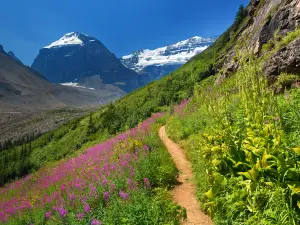 Banff-Nationalpark