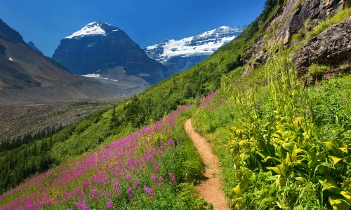 Banff National Park
