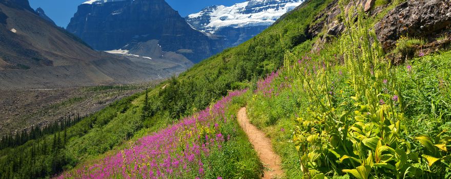 Banff National Park