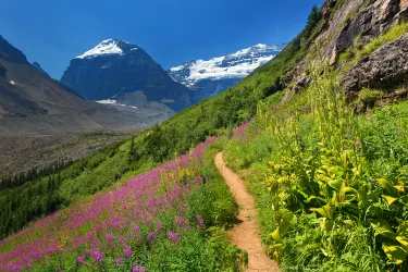 Parco nazionale Banff