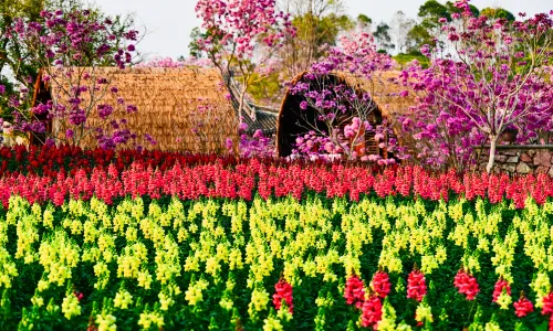 Nanning Garden Expo Park