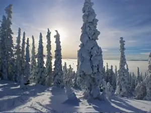 Murray Ridge Ski Area