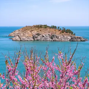 貓頭山