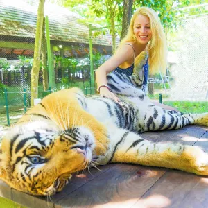 Tiger Kingdom - Phuket