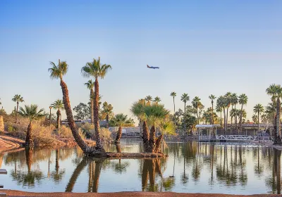 Phoenix Attraction