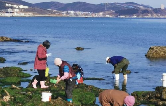 Shenzhou Peninsula Sea Harvesting Base