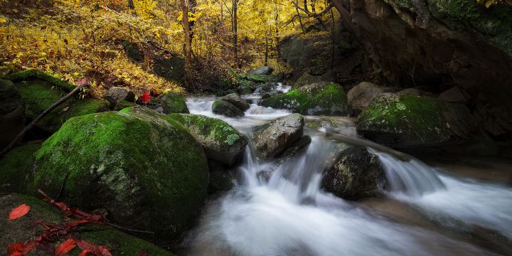 Yangzi Valley