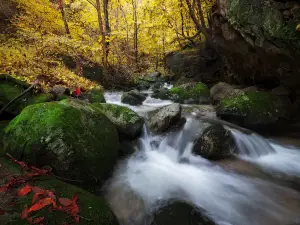Yangzi Valley