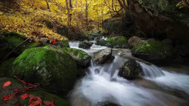 Yangzi Valley