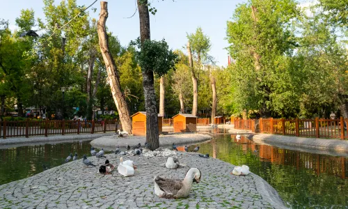 Kuğulu Park