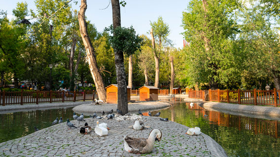 Kugulu Park