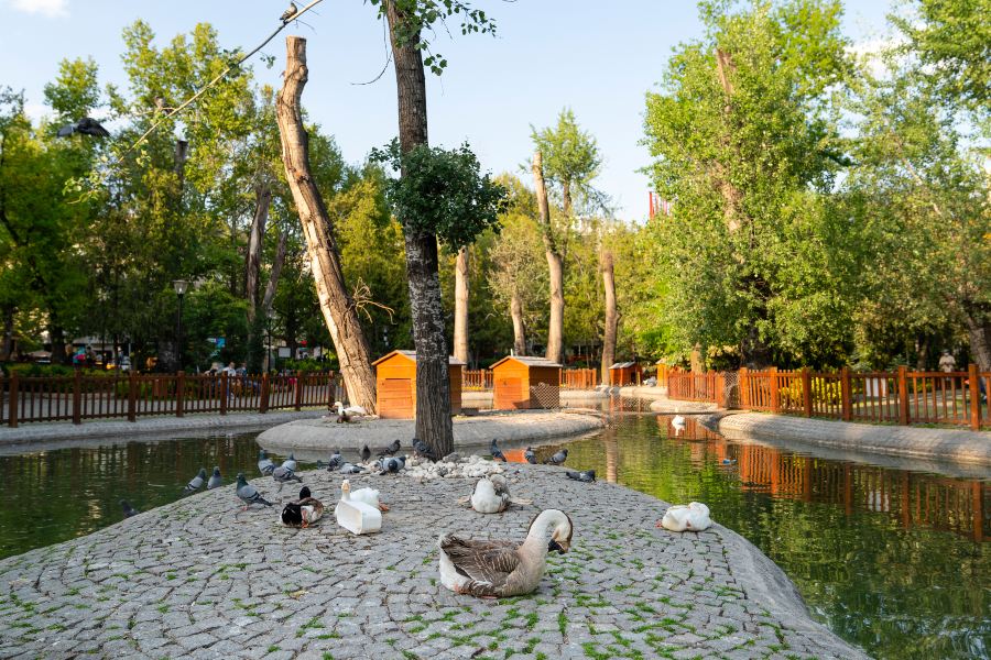 天鵝公園