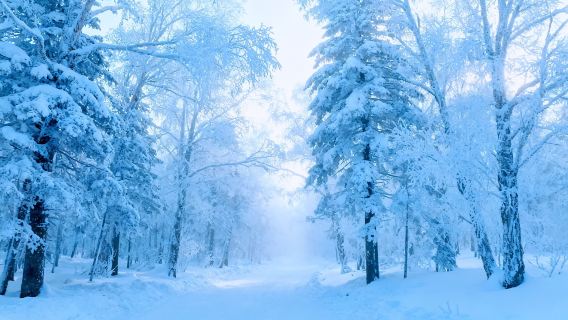 Ten-Mile Ice and Snow Gallery