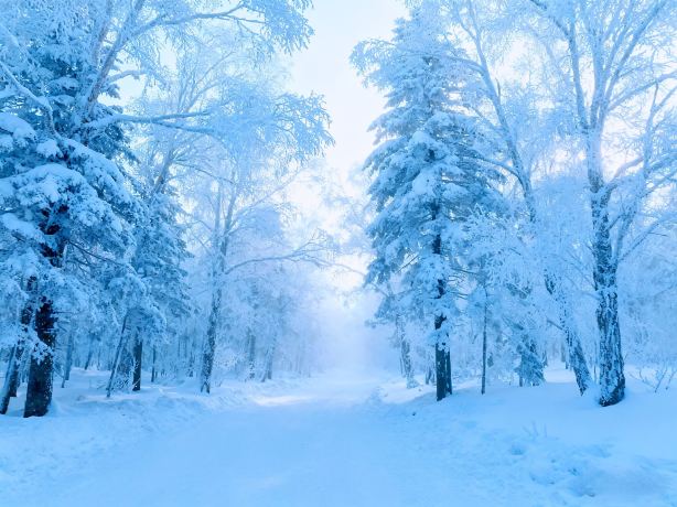 Ten-Mile Ice and Snow Gallery