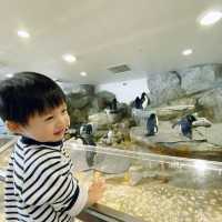 大阪親子遊 海遊館
