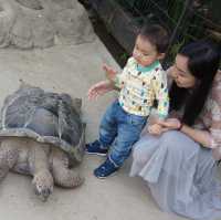 【 高質好玩的親子動物園 】