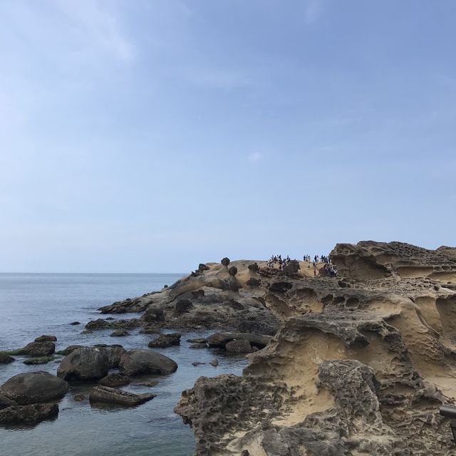 대만 예스진지투어 - 예류지질공원