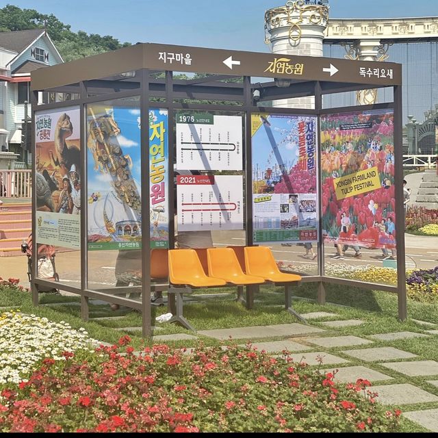 장미 가득한 에버랜드