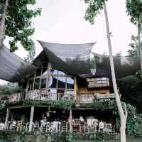 ฟาร์มเห็ดบ้านหัวน้ำ@น่าน 