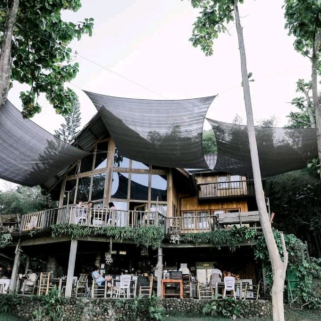 ฟาร์มเห็ดบ้านหัวน้ำ@น่าน 