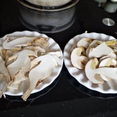 Snow mountain clouds wild mushrooms 여행 사진