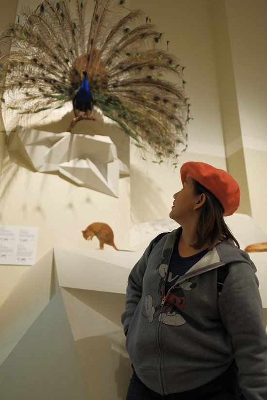 Western Australian Museum-Perth