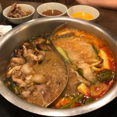 Kagurazaka Ishikawa User Photo