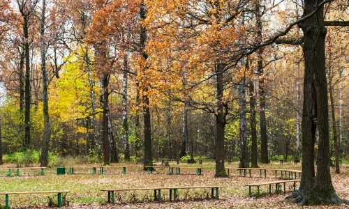 Heilongjiang Forest Botanical Garden