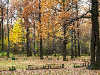 Hotels near Louis Vuitton Manila Greenbelt Makati