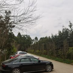 七彩阳光 User Photo