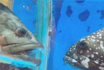 Jin Huang Ting User Photo