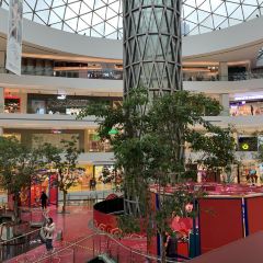 椰子不语 椰子鸡火锅(凯德晶萃店) User Photo