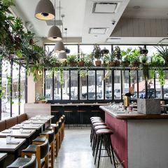 Llama Inn 여행 사진