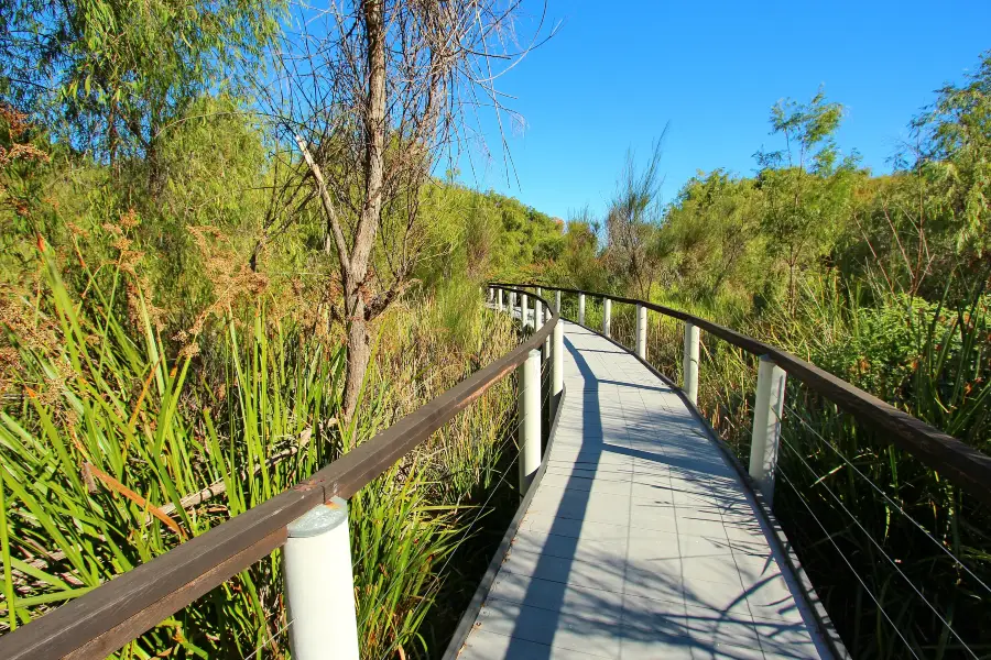 青年湖公園