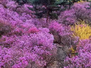 Mountain Dazhu Scenic Spot