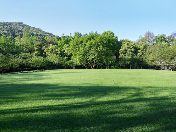 Lianhuashan Park