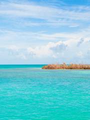 Lady Musgrave Island