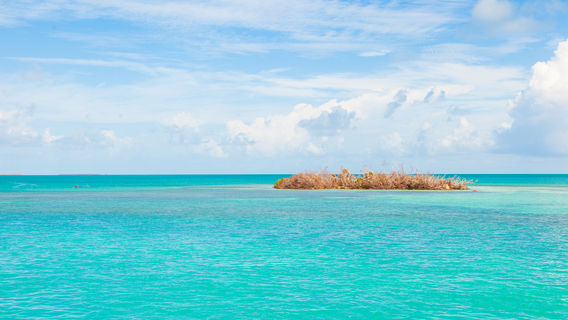Lady Musgrave Island