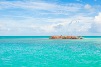 Lady Musgrave Island