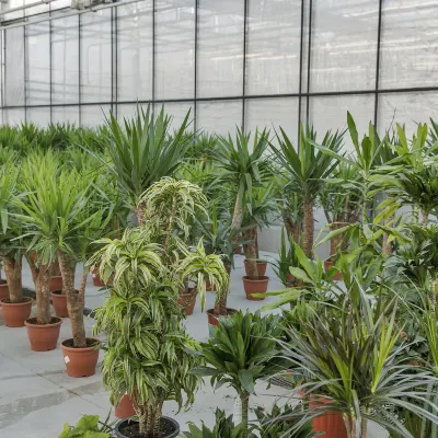 Отзывы об отеле U FUN HOTEL(Yulin RT-Mart Store)