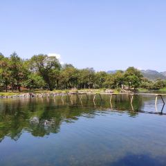 下淤水岸烧烤园 User Photo