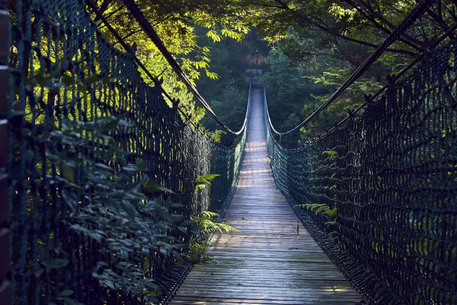 Yaolin National Forest Park