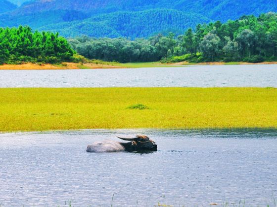 The Xuehuang Grassland