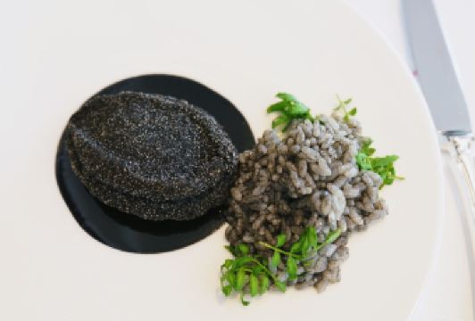 莫里哀用戶圖片