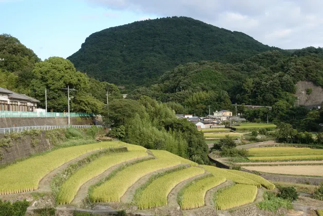 Vuelos Takamatsu Ishigaki