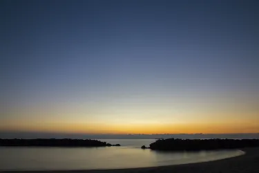 菲烏米奇諾